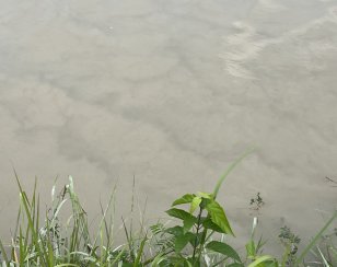 Koagulan Pengolahan Air Tambang, Turunkan TSS dan Kekeruhan Air