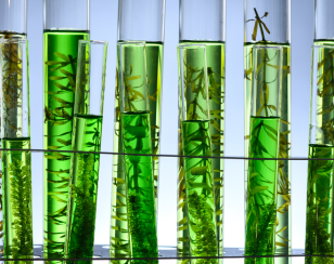 Pengendalian Mikroorganisme pada Sistem Limbah dan Cooling dengan Biocide